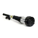 Arnott Industries Air Suspension Strut AS-3464 - view 2