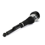 Arnott Industries Air Suspension Strut AS-3464 - view 3