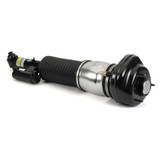 Arnott Industries Air Suspension Strut P/N:AS-3375