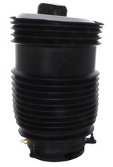 Westar Air Suspension Spring AS-17102 - view 2