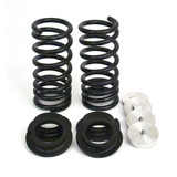 Arnott Industries Air Spring to Coil Spring Conversion Kit C-2236 - view 2