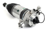Arnott Industries Air Suspension Strut AS-3167 - view 3