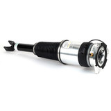 Arnott Industries Air Suspension Strut AS-3030 - view 2