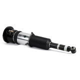 Arnott Industries Air Suspension Strut AS-3121 - view 3