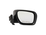 Dorman Door Mirror 955-705