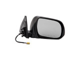 Dorman Door Mirror 955-1039