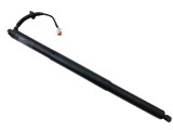 Stabilus Liftgate Lift Support 3A-707255 - view 2