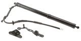 Stabilus Liftgate Lift Support 2Q-587987