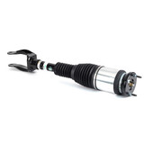 Arnott Industries Air Suspension Strut AS-3156 - view 2