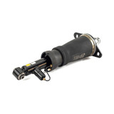 Arnott Industries Air Suspension Strut AS-3223 - view 2