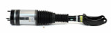 Arnott Industries Air Suspension Strut AS-3410