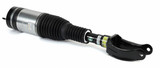 Arnott Industries Air Suspension Strut AS-3410 - view 2