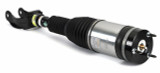 Arnott Industries Air Suspension Strut AS-3411 - view 3