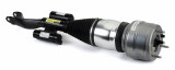 Arnott Industries Air Suspension Strut AS-3580 - view 3