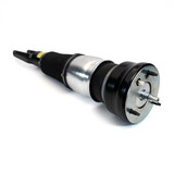 Arnott Industries Air Suspension Strut ASE-4027 - view 2