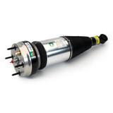 Arnott Industries Air Suspension Strut P/N:ASE-4369