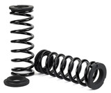 Arnott Industries Air Spring to Coil Spring Conversion Kit C-3421 - view 3
