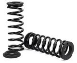 Arnott Industries Air Spring to Coil Spring Conversion Kit C-3434 - view 3