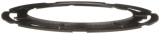 Delphi Fuel Tank Lock Ring FA10027 - view 2