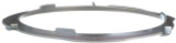 Delphi Fuel Tank Lock Ring FA10028 - view 2