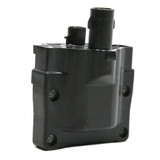 Delphi Ignition Coil P/N:GN10175