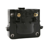 Delphi Ignition Coil P/N:GN10215