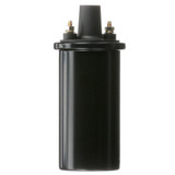 Delphi Ignition Coil P/N:GN10339