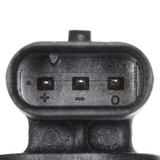 Delphi Engine Camshaft Position Sensor SS11363 - view 3
