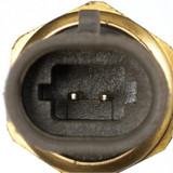 Delphi Air Charge Temperature Sensor TS10534 - view 3