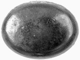 Dorman - Autograde Engine Core Plug P/N:555-017