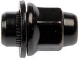 Dorman - Autograde Wheel Lug Nut 611-169 - view 2