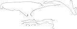 Dorman - OE Solutions Brake Hydraulic Line Kit P/N:919-220
