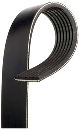 Gates Serpentine Belt K070810A