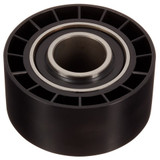 INA US Engine Timing Idler ZP02321 - view 2