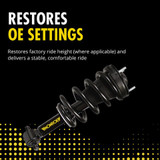 Monroe Shocks & Struts Active to Passive Suspension Conversion Kit 90033C3 - view 3