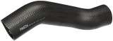 Spectra Premium Fuel Filler Hose FNH034