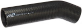 Spectra Premium Fuel Filler Hose FNH055
