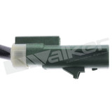 Walker Products Exhaust Gas Temperature (EGT) Sensor 1003-1038 - view 2
