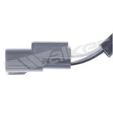 Walker Products Oxygen Sensor 250-241321 - view 2