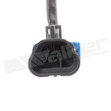 Walker Products Oxygen Sensor 350-34047 - view 3