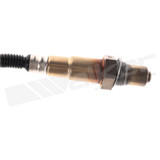 Walker Products Oxygen Sensor 350-34081 - view 3