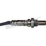 Walker Products Oxygen Sensor 350-34483 - view 3