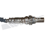 Walker Products Oxygen Sensor 350-34538 - view 2