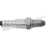 Walker Products Oxygen Sensor 350-64006 - view 2