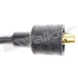 Walker Products Spark Plug Wire Set 924-1553 - view 3