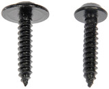 Dorman Screw - view 2