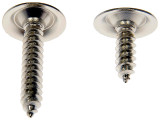 Dorman Screw - view 2