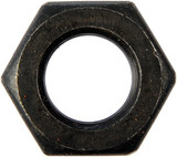 Dorman Nut - view 2