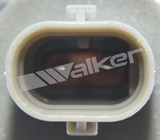 Walker Products Engine Variable Valve Timing (VVT) Solenoid 590-1007 - view 2