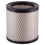 Premium Guard Engine Air Filter PA3196